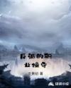 反派的职业操守