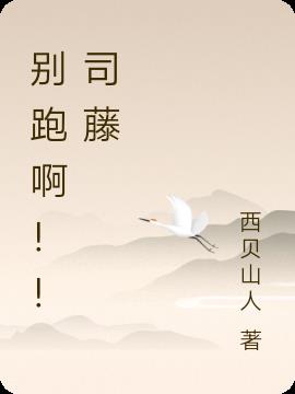 别跑 小说