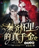 秦爷的小祖宗是真大佬