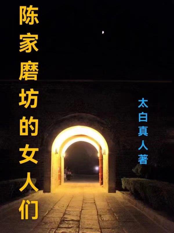 陈家磨坊的女人们