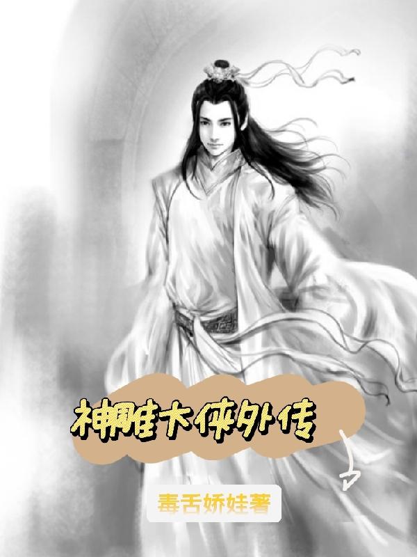 神雕大侠外传