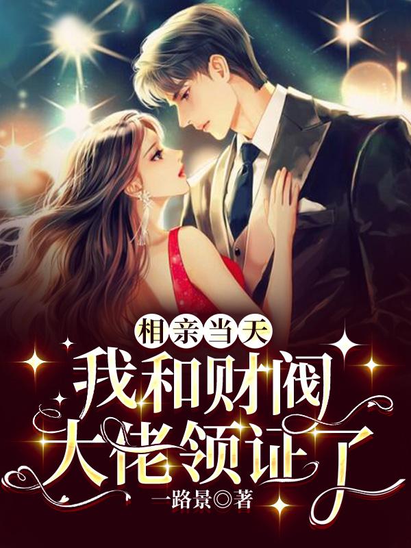 相亲当天,我和财阀大佬领证了