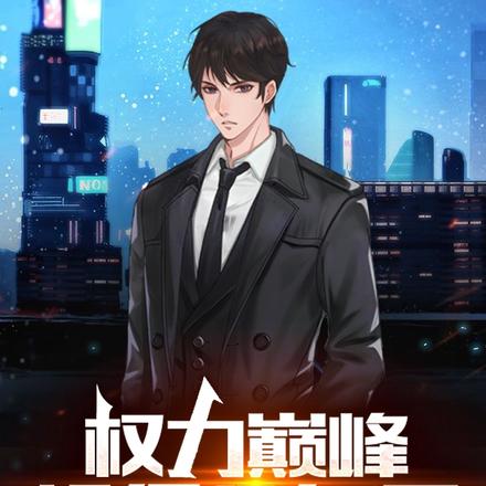 权力巅峰:超级公务员