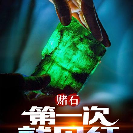 赌石:第一次就见红