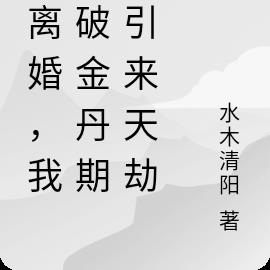 刚离婚，我突破金丹期，引来天劫全本阅读