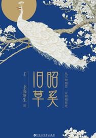 宁晚晚厉墨寒