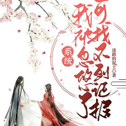 系统,我被忽悠了可找不到证据