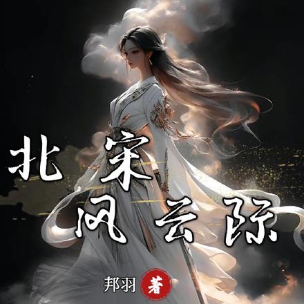 北宋风云际