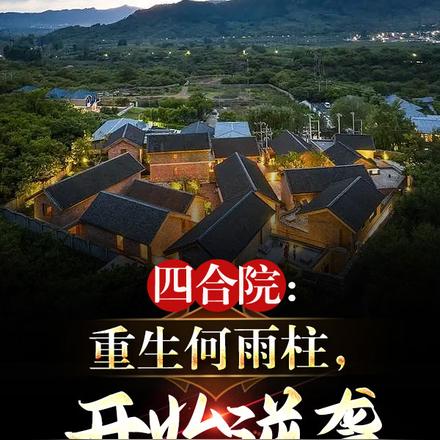 四合院:重生何雨柱,开始逆袭