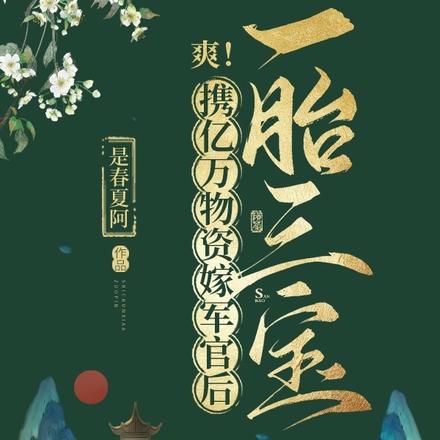 爽!携亿万物资嫁军官后一胎三宝