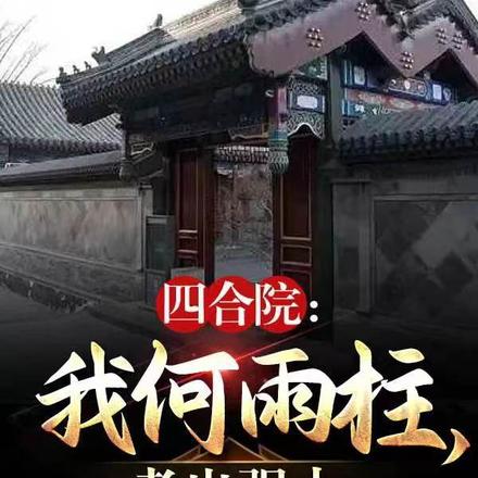 四合院:我何雨柱,孝出强大