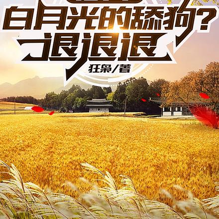 1974:白月光的舔狗?退退退