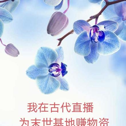 我在古代直播，为末世基地赚物资