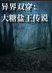 异界双穿：大糖盐王传说By{author}