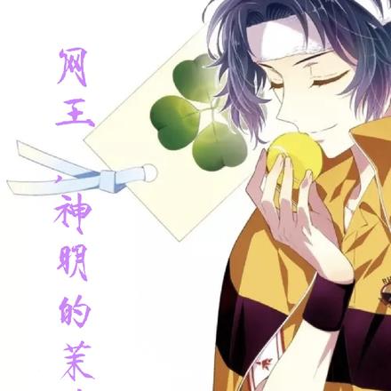 网王：神明的茉莉花