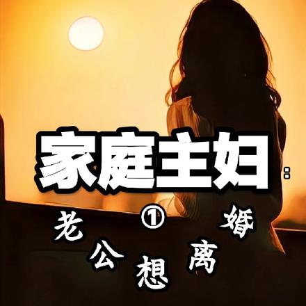 家庭主妇:老公想离婚