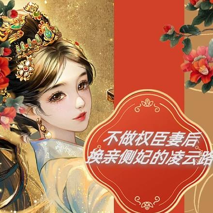 不做权臣妻后,换亲侧妃的凌云路