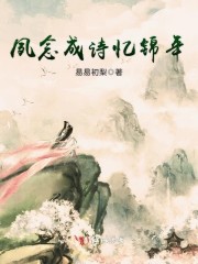 夙念成诗忆锦年 By{author}