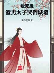 我死后，渣男太子哭倒城墙 By{author}