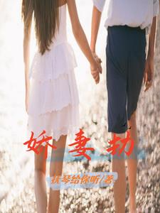 婚途裂痕By{author}