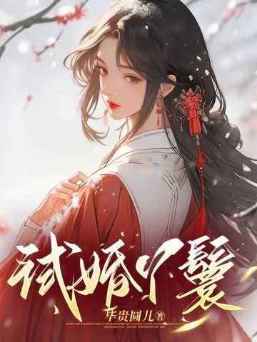 试婚丫鬟By{author}