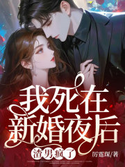 我死在新婚夜后，渣男疯了苏菀陆时晏By{author}