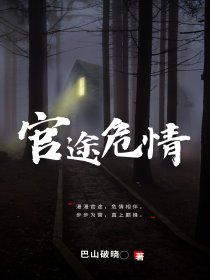 官途危情 第187章