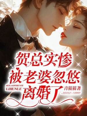 贺总实惨，被老婆忽悠离婚了 By{author}