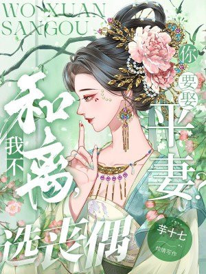 我同意你娶平妻