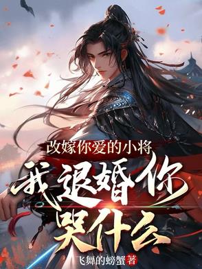 改嫁你爱的小将，我退婚你哭什么By{author}