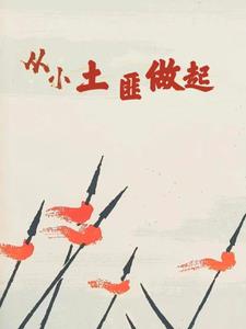 从小土匪做起By{author}