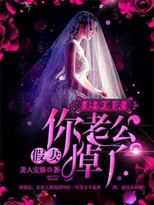 好孕难求:假妻,你老公掉了!