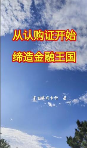 从认购证开始缔造金融王国最新更新