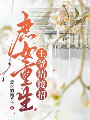 庶女重生,王爷请接招