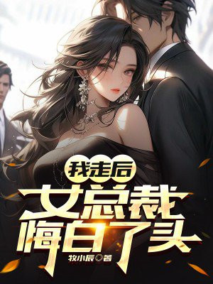 我走后,女总裁悔白了头