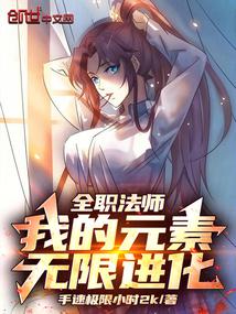 全职法师:我的元素无限进化