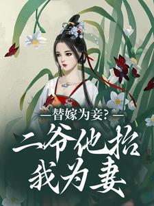 替嫁为妾?二爷他抬我为妻