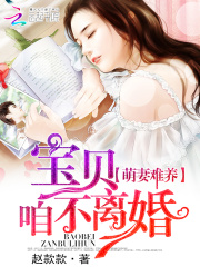 追妻血泪史