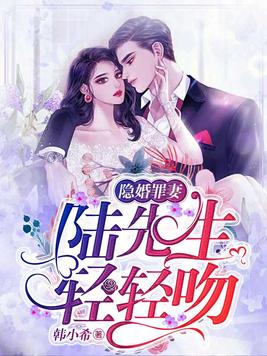 隐婚罪妻:陆先生,轻轻吻
