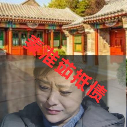 四合院:收走贾家房秦淮茹抵债