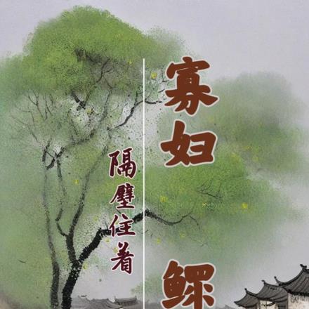 寡妇隔壁住着鳏夫