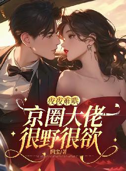 夜夜难哄:京圈大佬很野很欲
