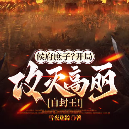 留下两万精兵后，系统崩了！
