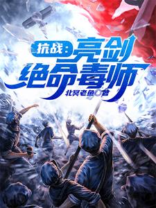 抗战：亮剑绝命毒师