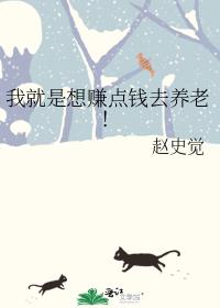 我就是想赚点钱去养老!